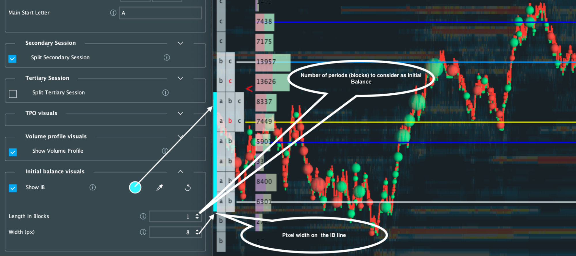 Bookmap Market Profile Add-On scrnsht